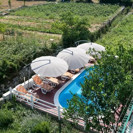 Apartment Fontana